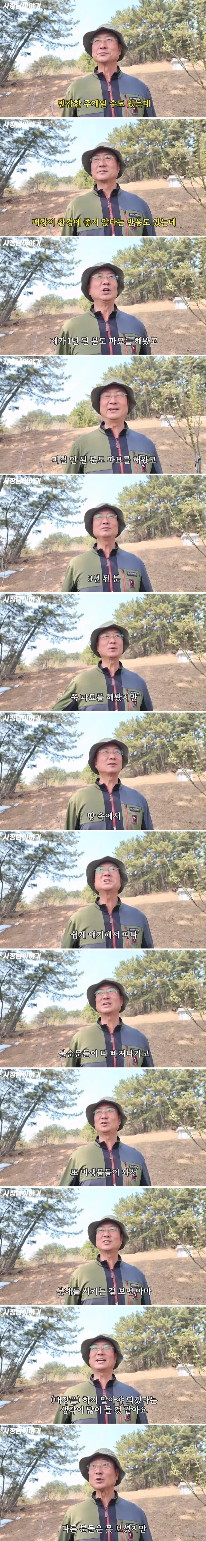 매장 풍습이 자연에 안좋냐는 질문을 받은 전문가의 답변_1.webp