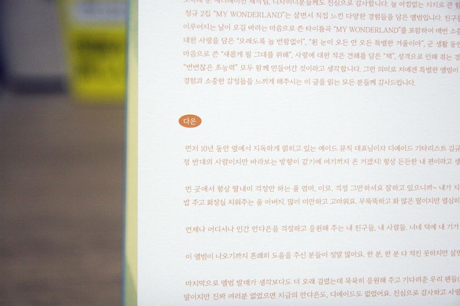 디 에이드 2집~My Wonderland~_38.jpg