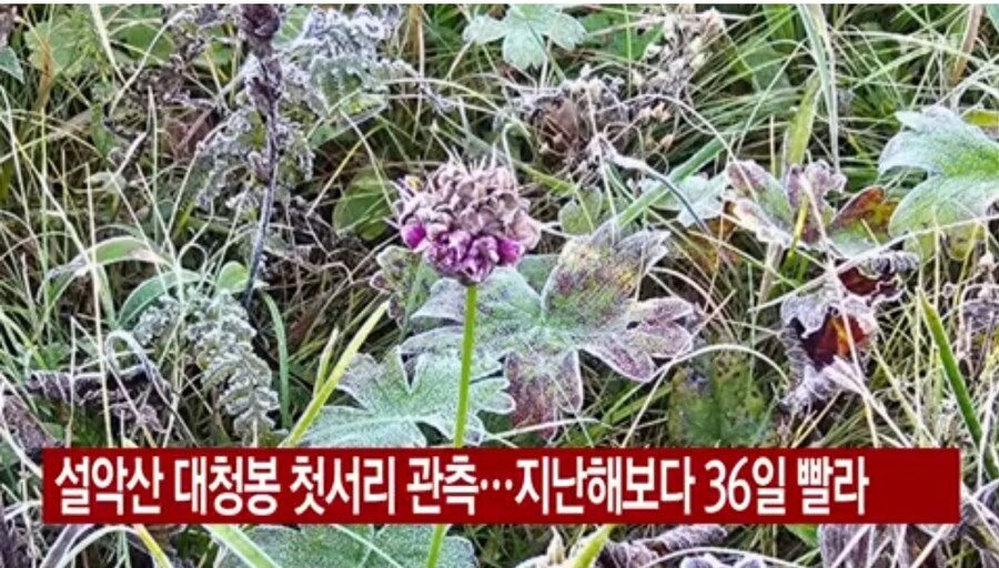 설악산 대청봉 첫서리 관측...지난해보다 36일 빨라_1.jpg