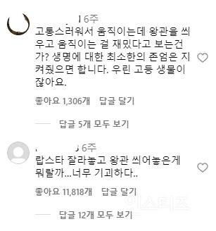 논란이 된 랍스터 식당_3.jpg