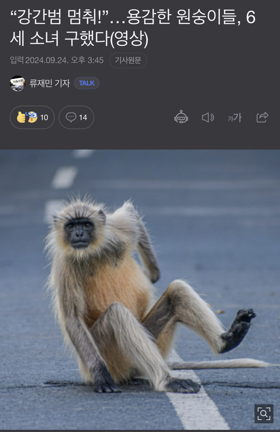 6세 소녀를 강1간범으로 부터 구한 원숭이들_1.jpg