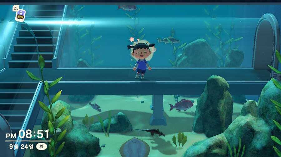 동숲)나 물고기 정말 좋아해_1.jpg