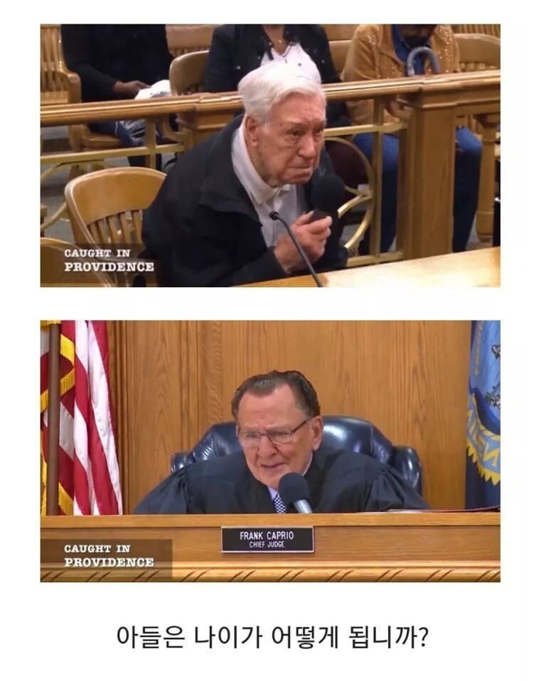 96세 운전자의 속도위반 재판_3.jpg