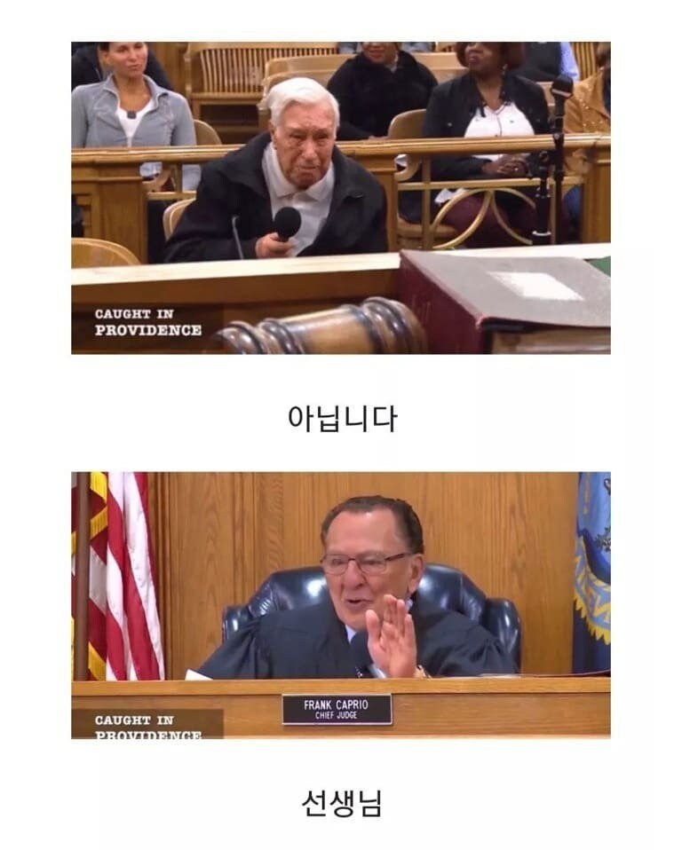 96세 운전자의 속도위반 재판_7.jpg