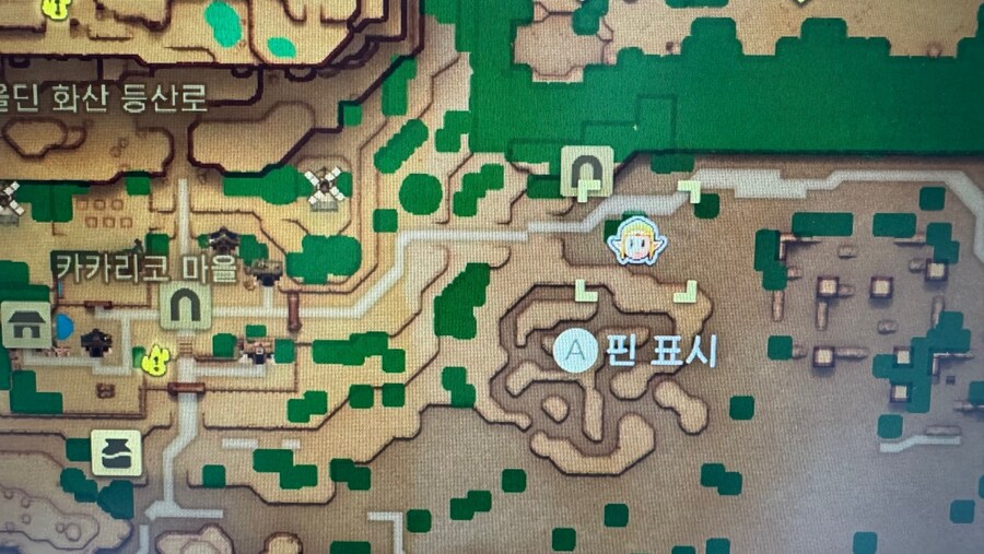 지혜 : 고양이 옷 공략_1.jpg