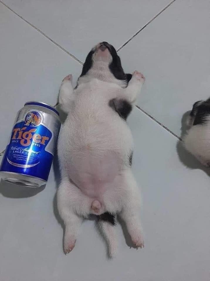 불금이라서 술먹고 개판됨.jpg_3.jpg