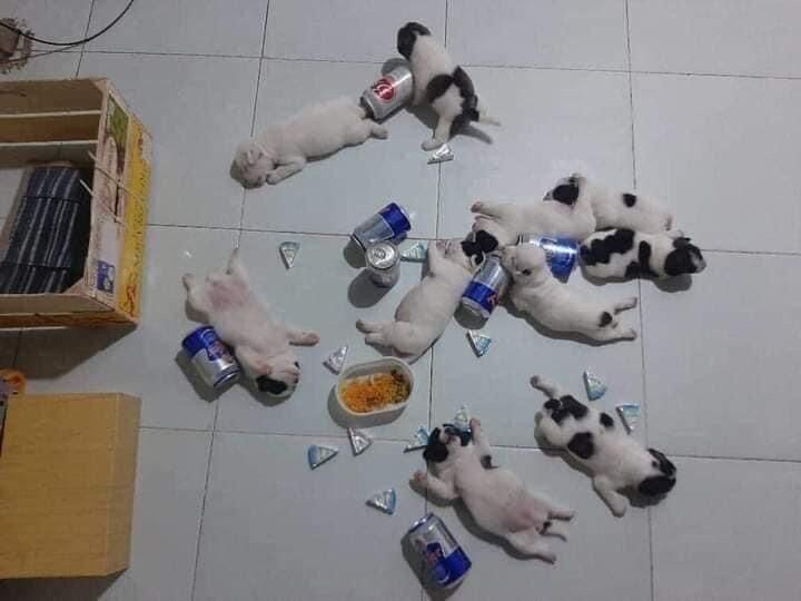불금이라서 술먹고 개판됨.jpg_4.jpg