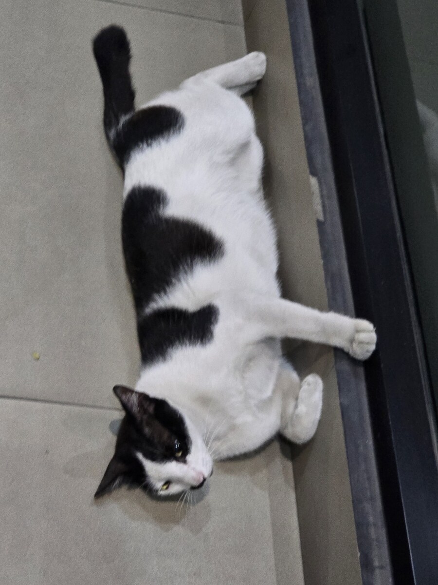 (스압 및 데이터주의!) 인도네시아 19일 여행기 자카르타&족자카르타_34.jpg