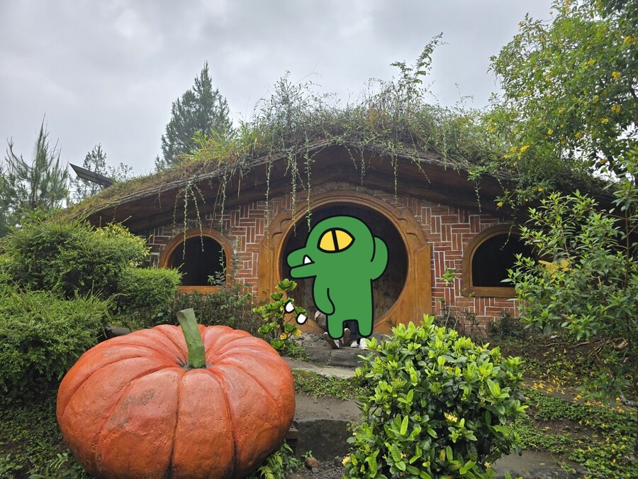 (스압 및 데이터주의!) 인도네시아 19일 여행기 자카르타&족자카르타_131.jpg