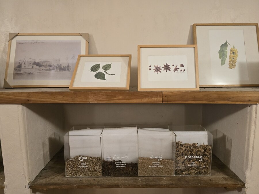 (스압 및 데이터주의!) 인도네시아 19일 여행기 자카르타&족자카르타_214.jpg