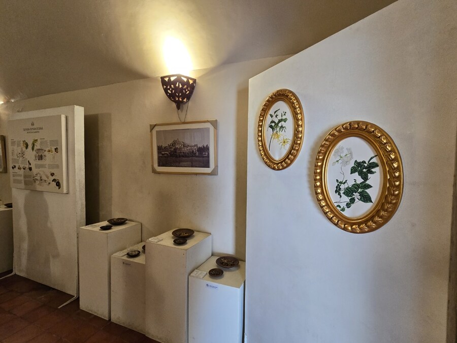 (스압 및 데이터주의!) 인도네시아 19일 여행기 자카르타&족자카르타_215.jpg