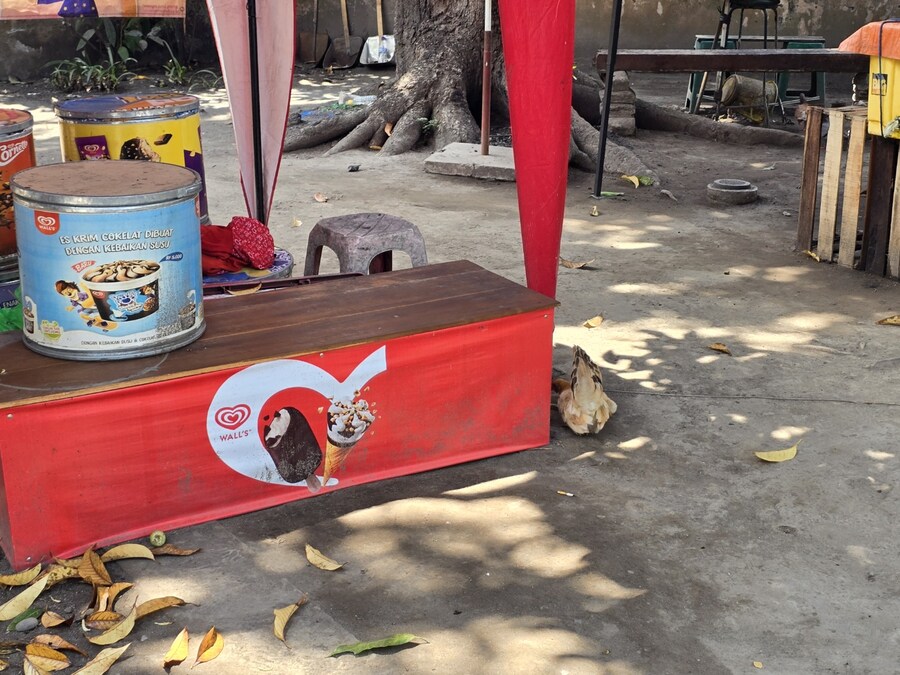 (스압 및 데이터주의!) 인도네시아 19일 여행기 자카르타&족자카르타_217.jpg