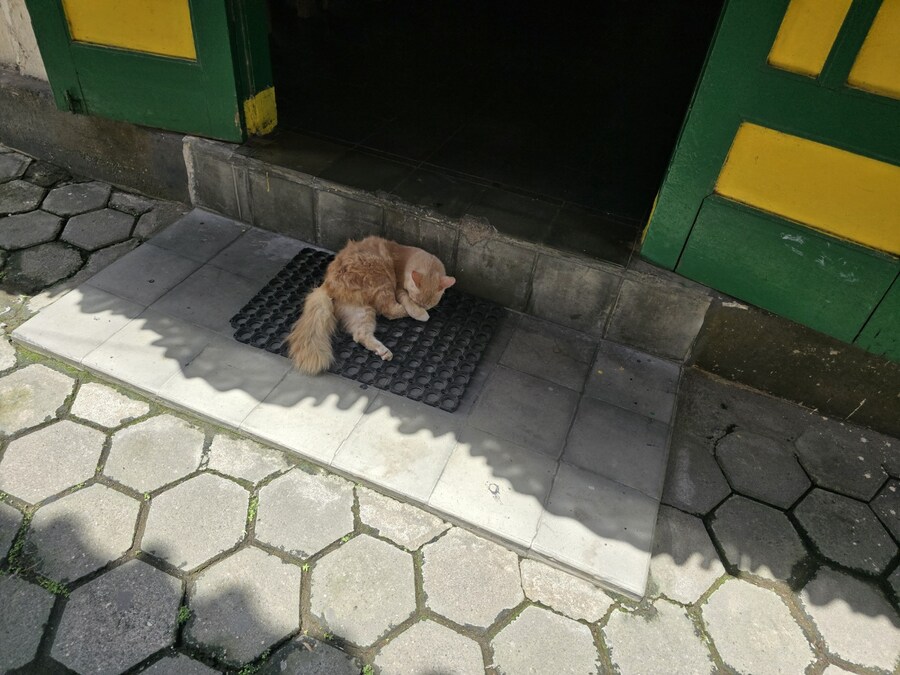 (스압 및 데이터주의!) 인도네시아 19일 여행기 자카르타&족자카르타_225.jpg