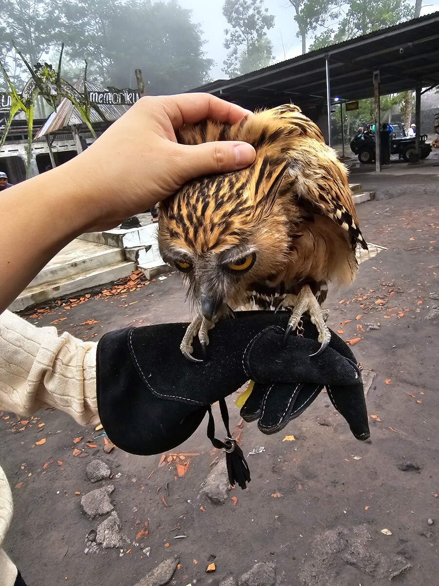 (스압 및 데이터주의!) 인도네시아 19일 여행기 자카르타&족자카르타_144.jpg