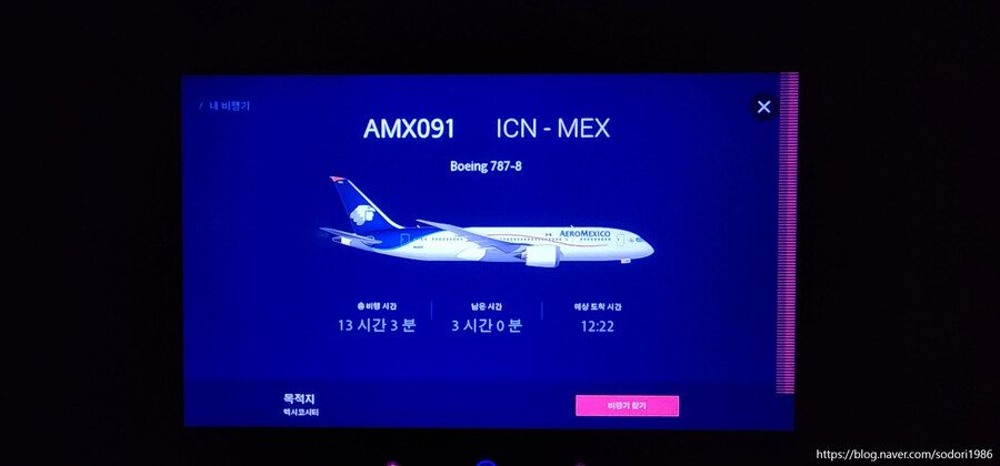 아에로멕시코를 타고 멕시코시티를 구경하고 왔습니다.(사진 30장)_3.jpg