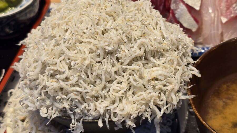 일본여행 6일차 한일부부 카스카베->도쿄_17.jpg