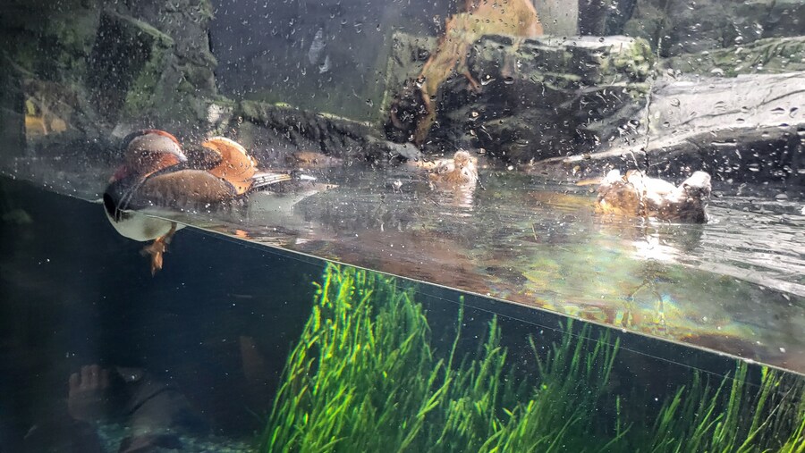 오사카 간사이 여행(2024.09.22~09.27) 4일차_15.jpg