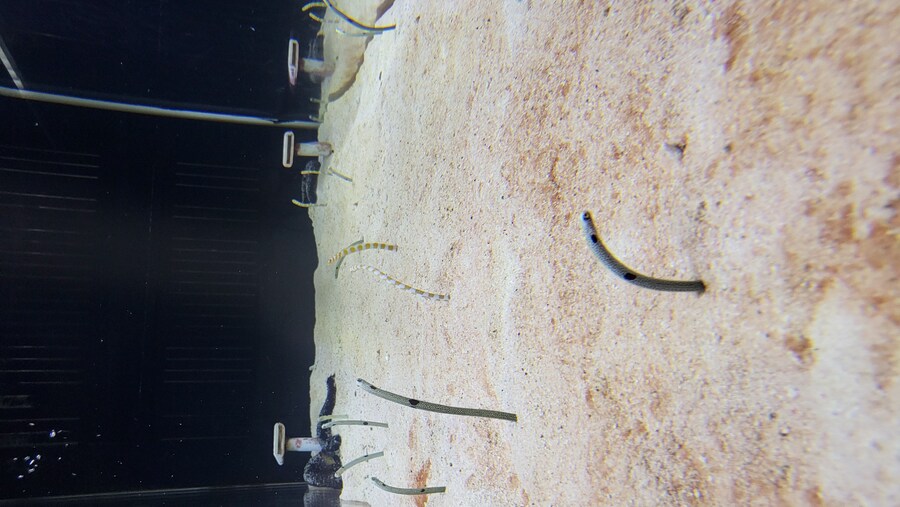 오사카 간사이 여행(2024.09.22~09.27) 4일차_21.jpg