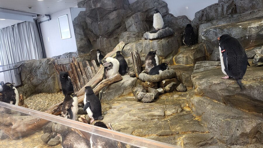 오사카 간사이 여행(2024.09.22~09.27) 4일차_27.jpg