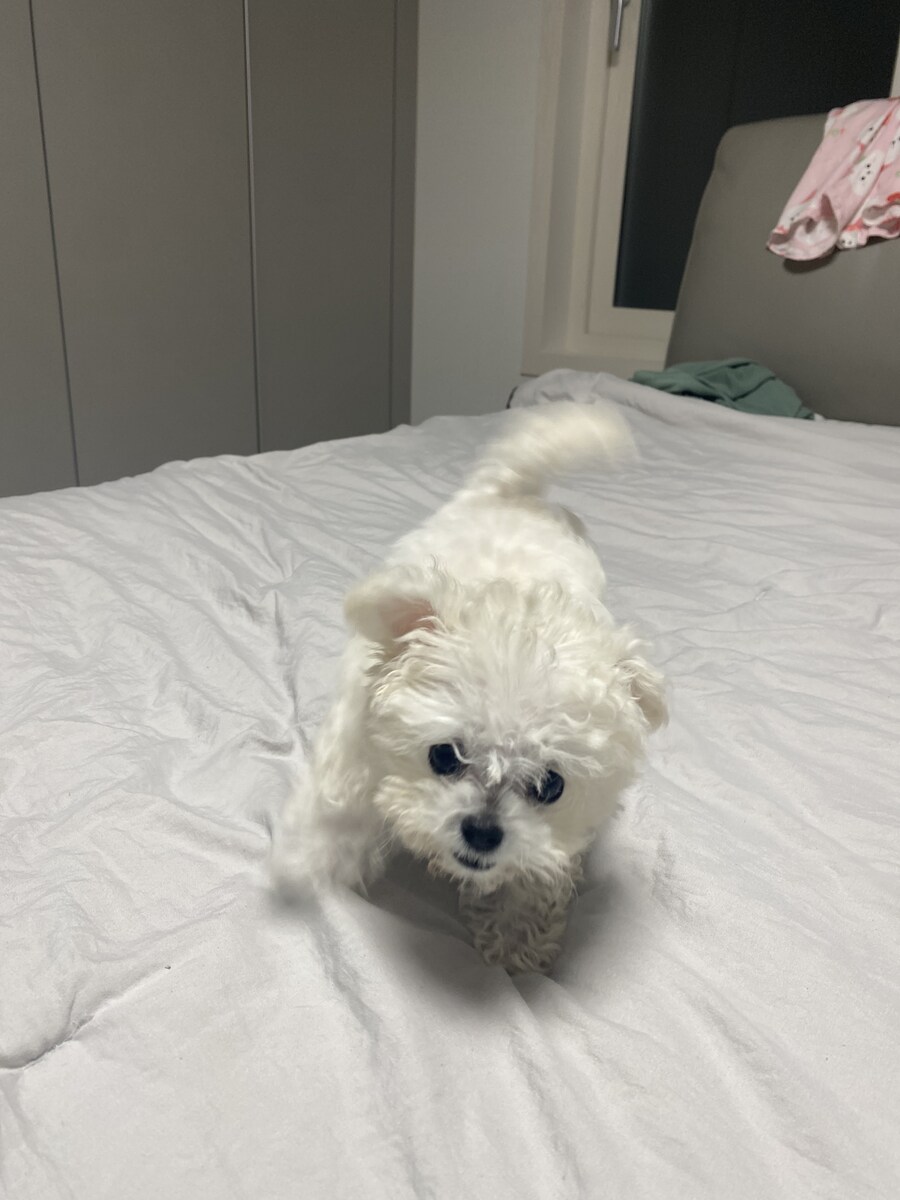 드디어 점령했다._1.jpg