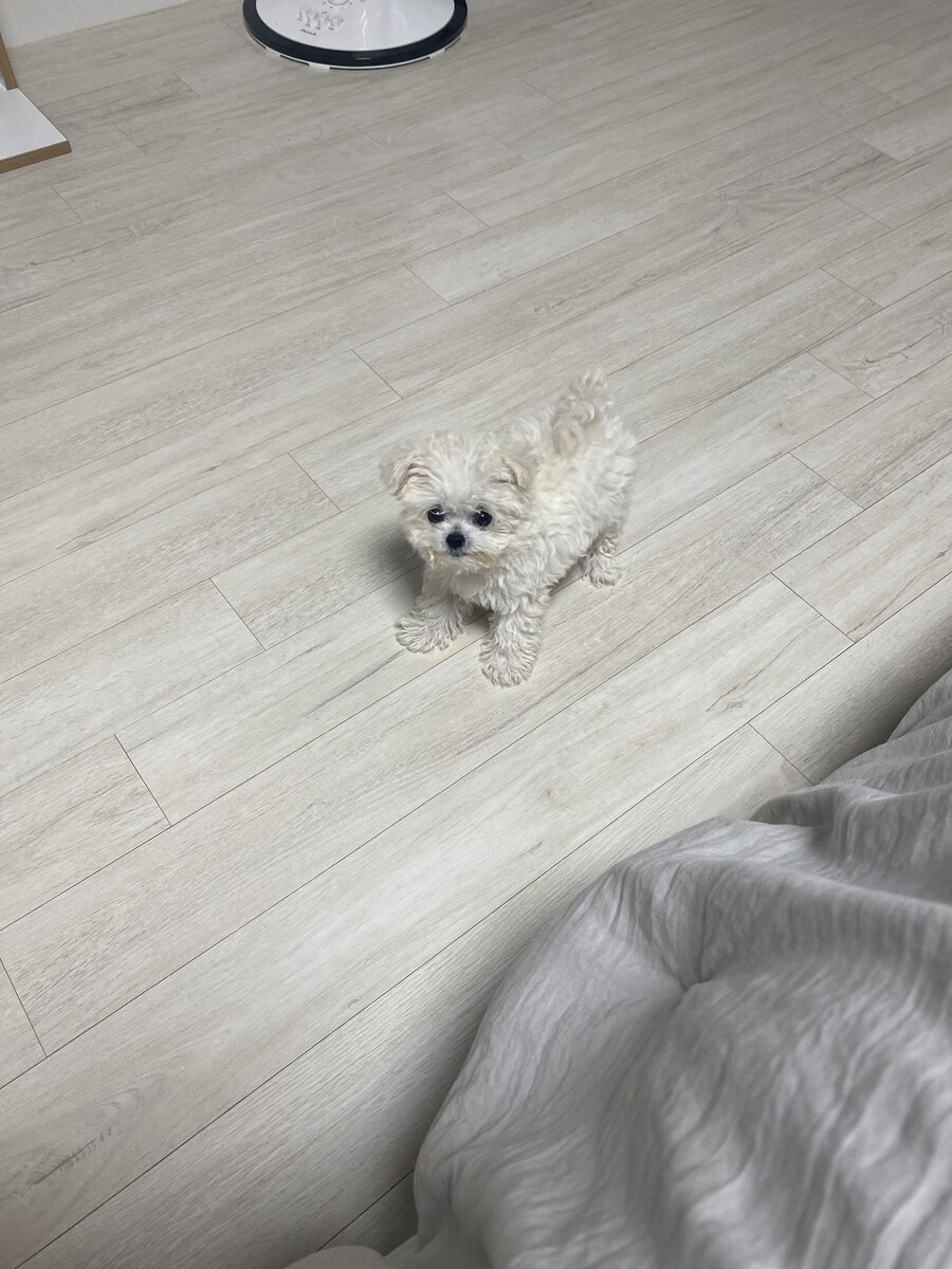 드디어 점령했다._3.jpg