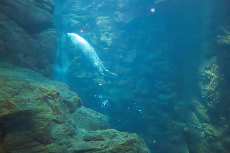 10박11일 오사카 교토 여행1(스압)_33.jpg