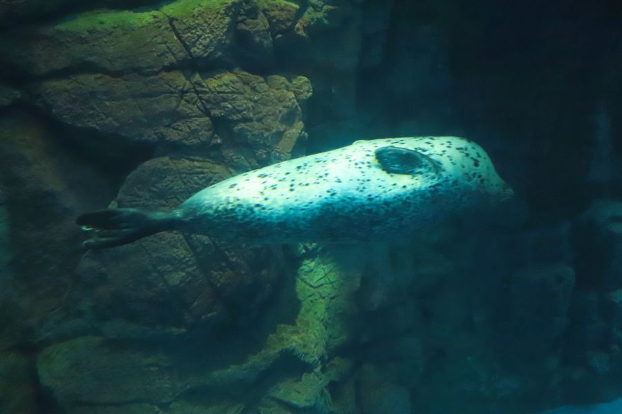 10박11일 오사카 교토 여행1(스압)_34.jpg