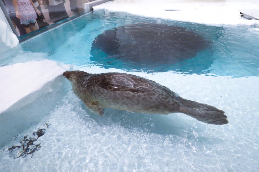 10박11일 오사카 교토 여행1(스압)_35.jpg