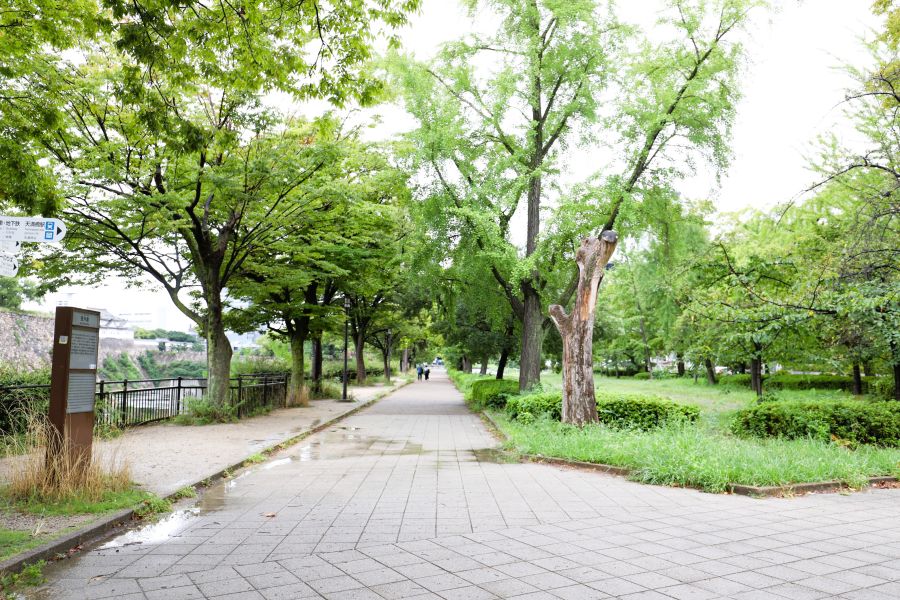 10박11일 오사카 교토 여행1(스압)_46.jpg