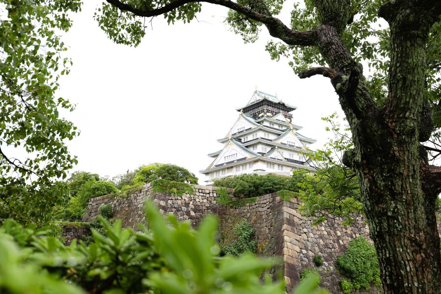 10박11일 오사카 교토 여행1(스압)_51.jpg