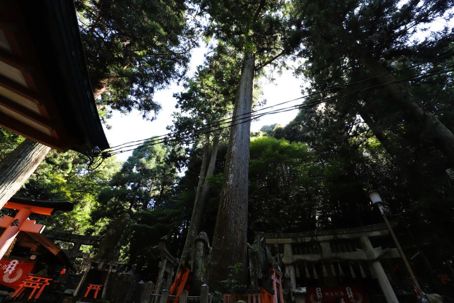 10박11일 오사카 교토 여행5_42.jpg