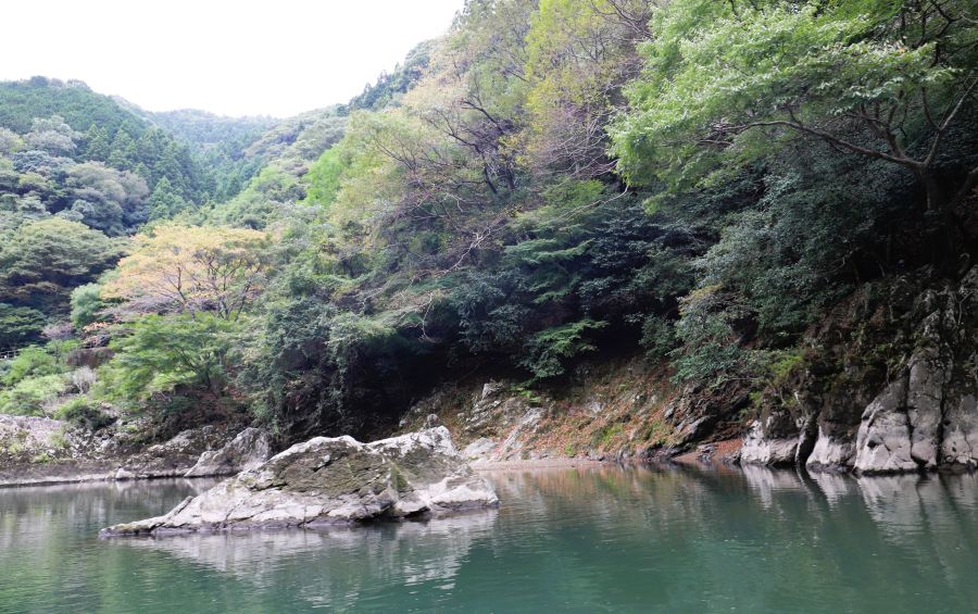 10박11일 오사카 교토 여행8(스압)_25.jpg