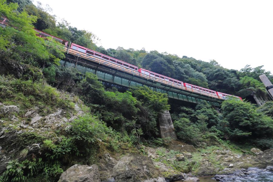 10박11일 오사카 교토 여행8(스압)_27.jpg