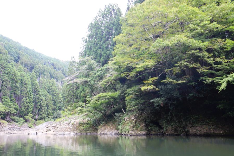 10박11일 오사카 교토 여행8(스압)_31.jpg