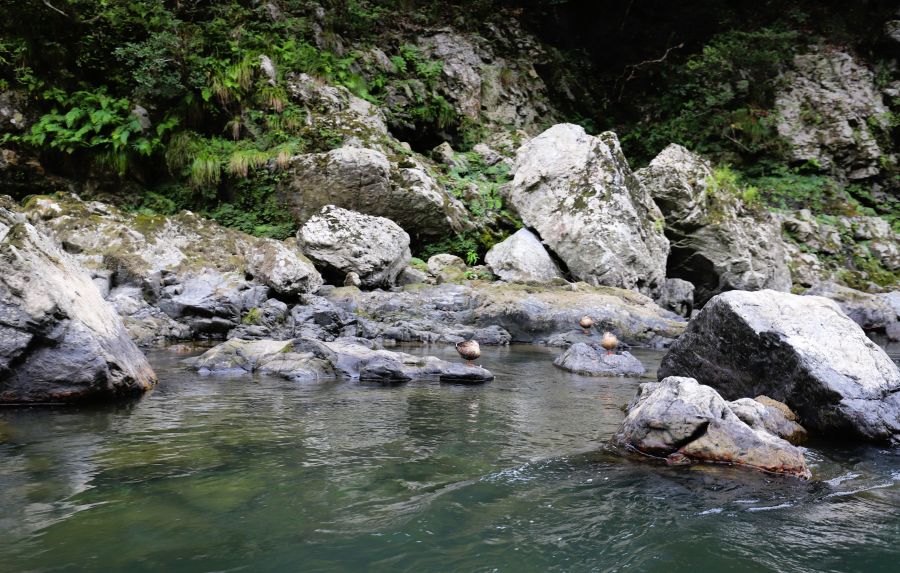 10박11일 오사카 교토 여행8(스압)_33.jpg