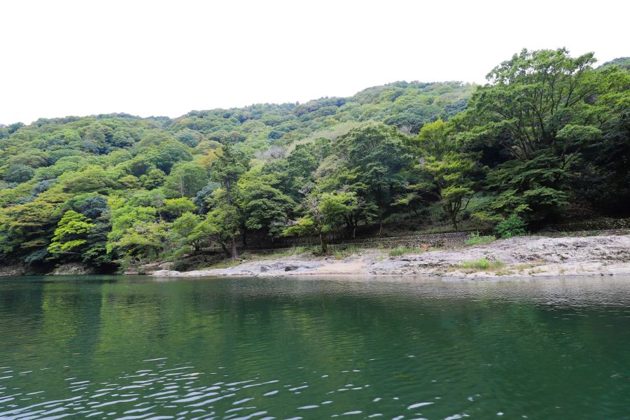 10박11일 오사카 교토 여행8(스압)_42.jpg