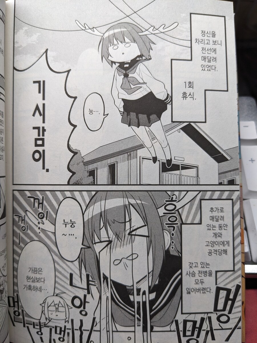 사슴아이 어슬렁어슬렁 호시탐탐_4.jpg