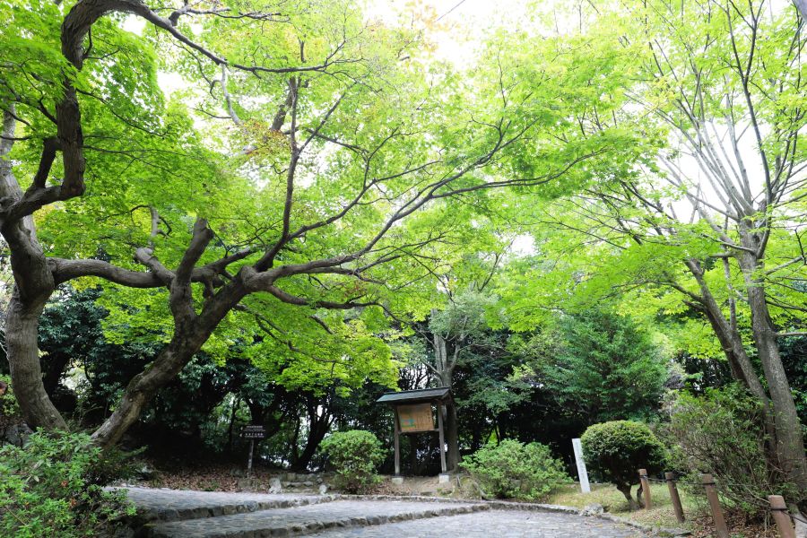 10박11일 오사카 교토 여행8(스압)_48.jpg