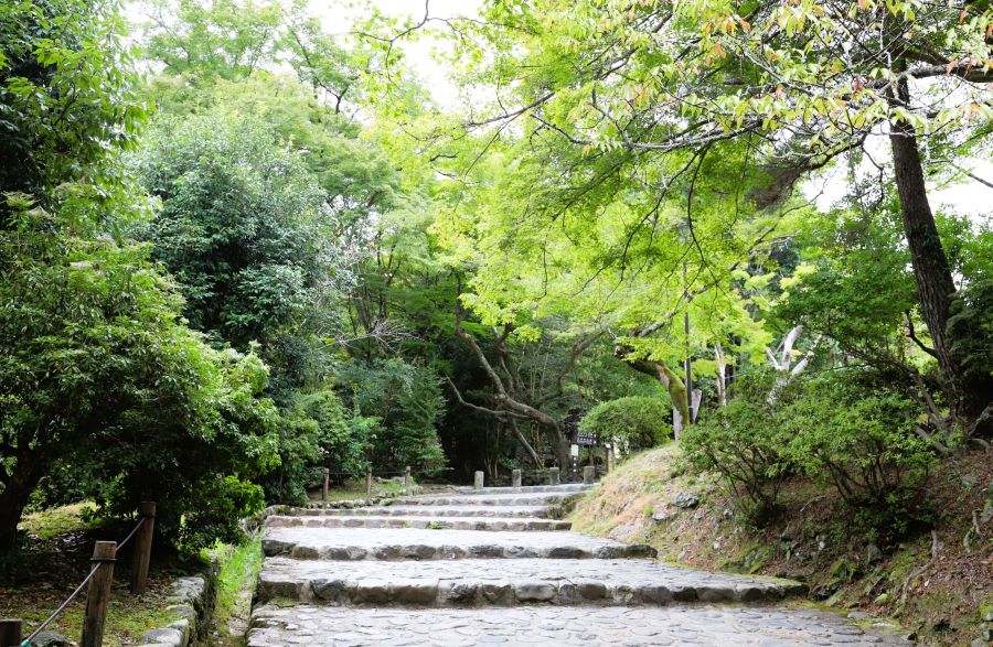 10박11일 오사카 교토 여행8(스압)_49.jpg