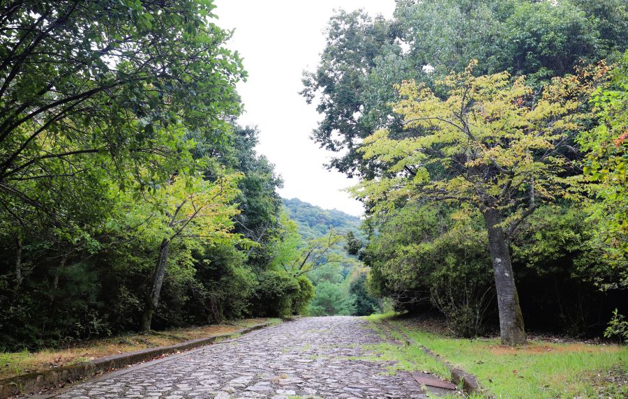 10박11일 오사카 교토 여행8(스압)_50.jpg