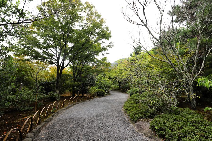 10박11일 오사카 교토 여행8(스압)_57.jpg