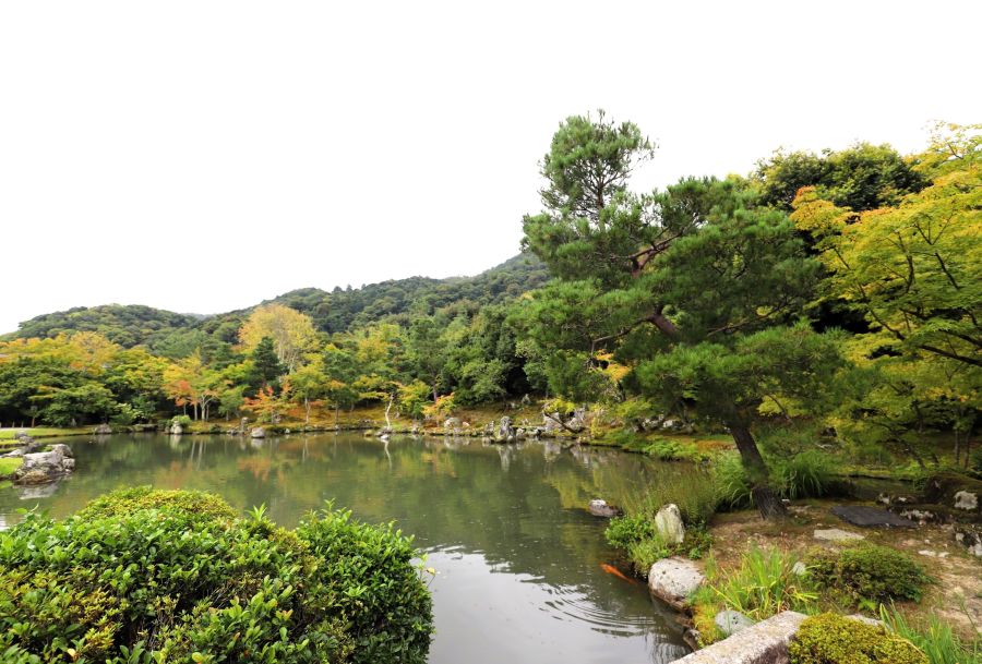 10박11일 오사카 교토 여행8(스압)_65.jpg