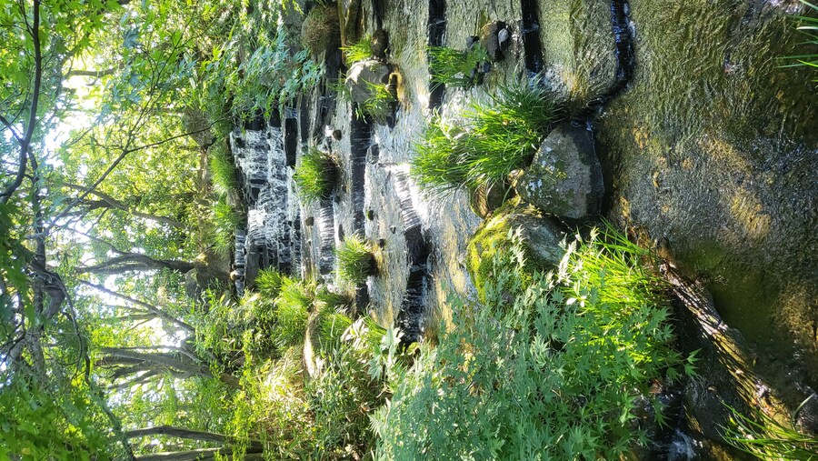 오사카 간사이 여행(2024.09.22~09.27) 5~6일차 -完- (스압)_37.jpg