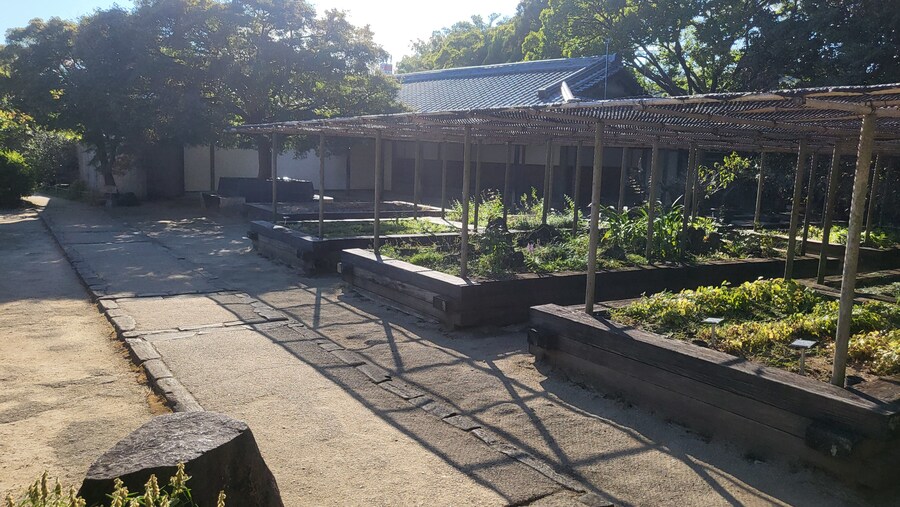 오사카 간사이 여행(2024.09.22~09.27) 5~6일차 -完- (스압)_41.jpg