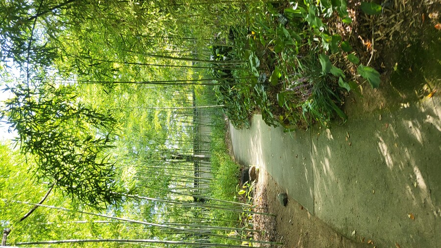 오사카 간사이 여행(2024.09.22~09.27) 5~6일차 -完- (스압)_47.jpg