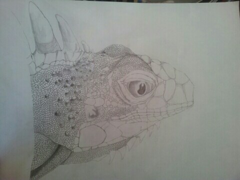 (스압주의) 제가 그린 동물 그림 올려봅니다_3.jpg