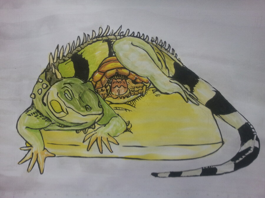 (스압주의) 제가 그린 동물 그림 올려봅니다_20.jpg