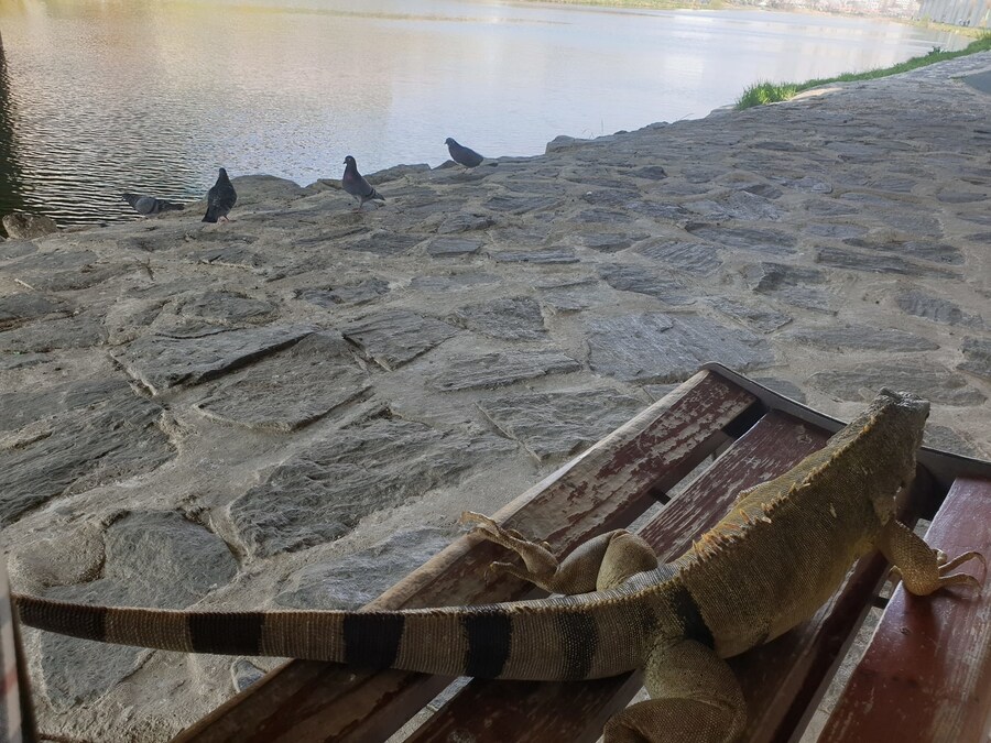 (스압주의) 제가 그린 동물 그림 올려봅니다_195.jpg