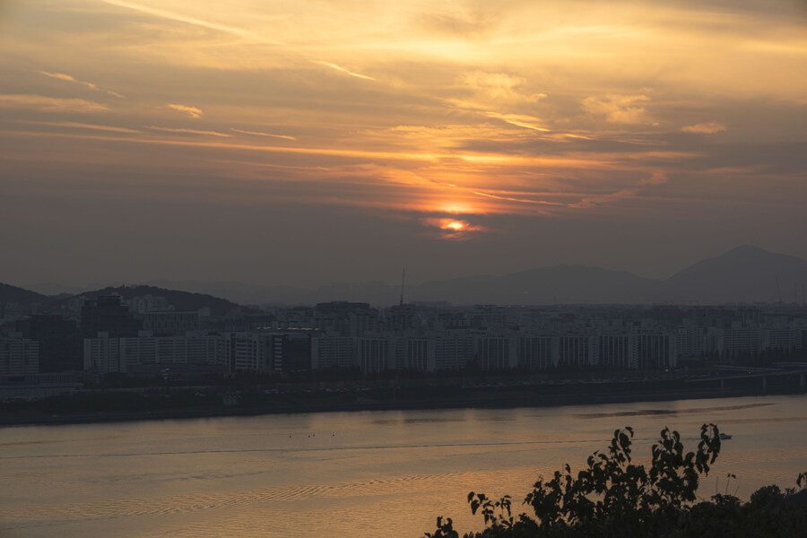 제23회 서울억새축제 미리 갔다왔습니다._11.jpg