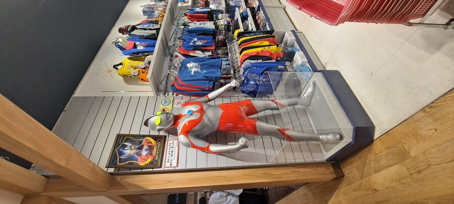 홀로 떠난 첫 해외여행(도쿄 4박 5일)-2_56.jpg